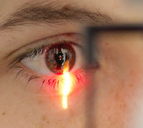 LA RETINA Y EL DESPRENDIMIENTO DE RETINA
